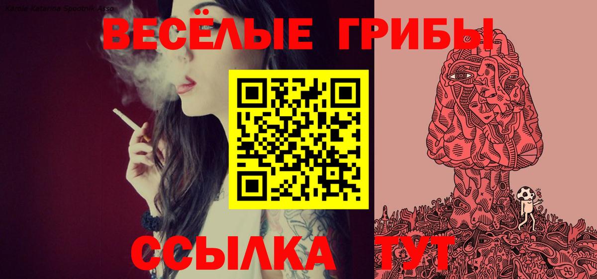 Галлюциногенные грибы мицелий Вышний Волочёк