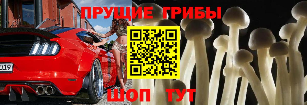 Галлюциногенные грибы Psilocybe  Вход с VPN  Вышний Волочёк 